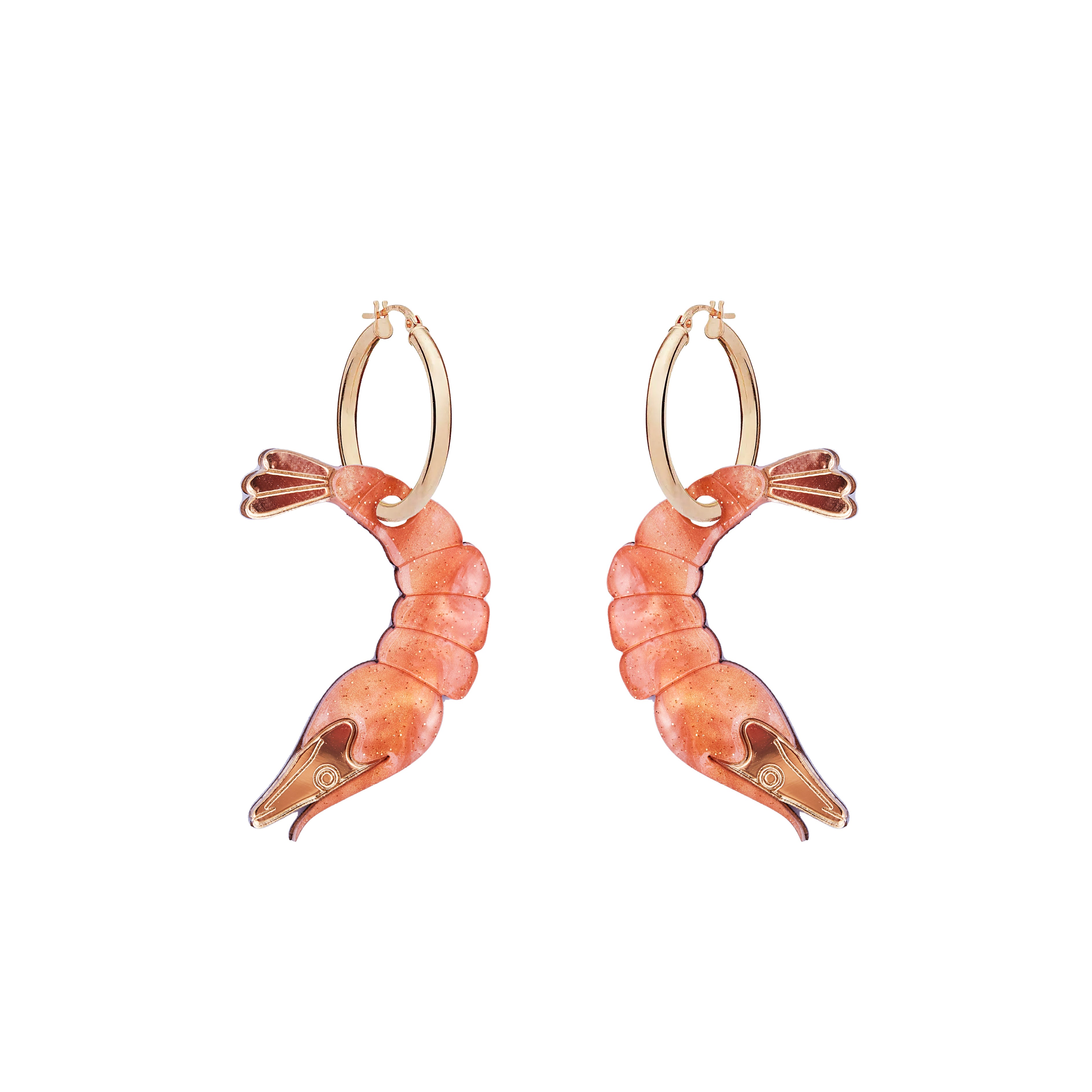 Cerceaux De Crevettes Corail